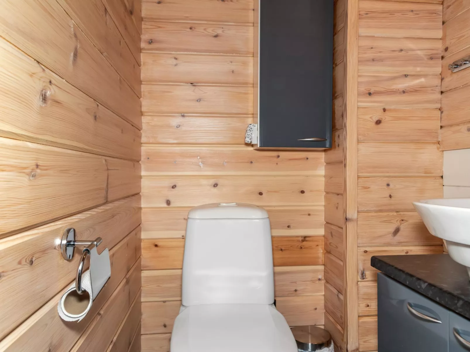 Ylläs-eeli green house c2-Drinnen