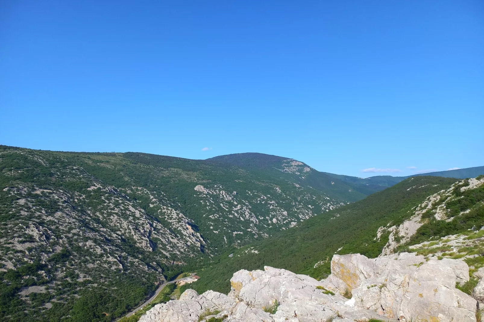 Niko 3-Areas within 5km in summer