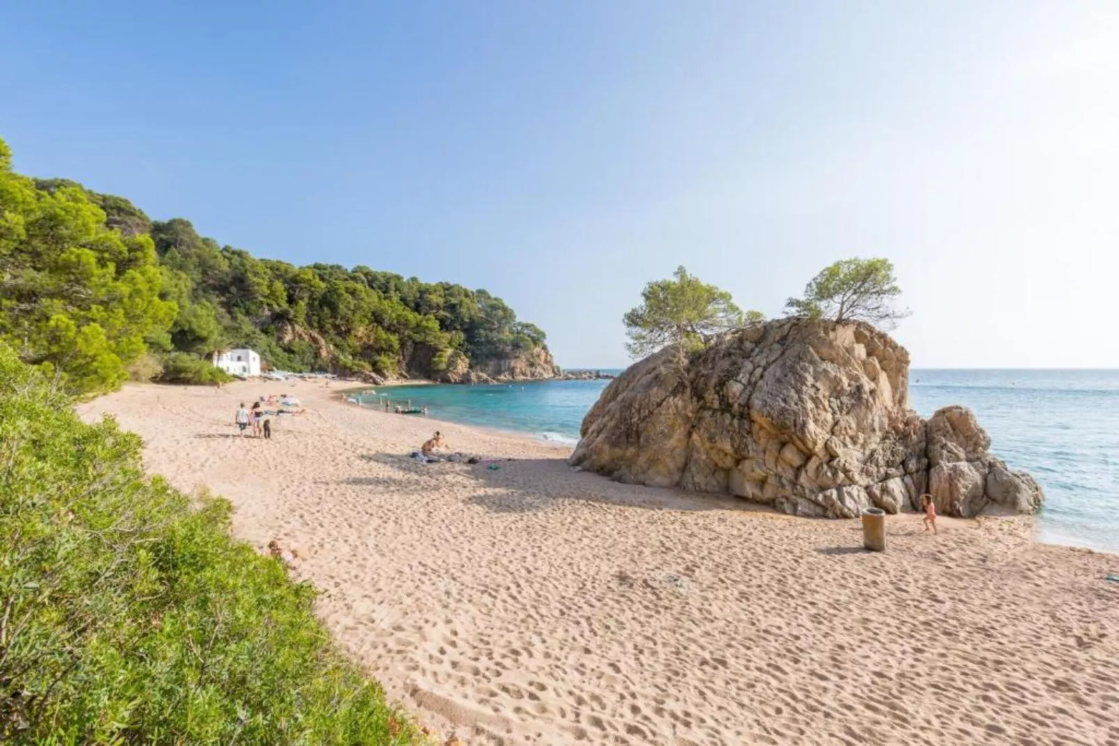 Cora-Gebiete Sommer 5 km