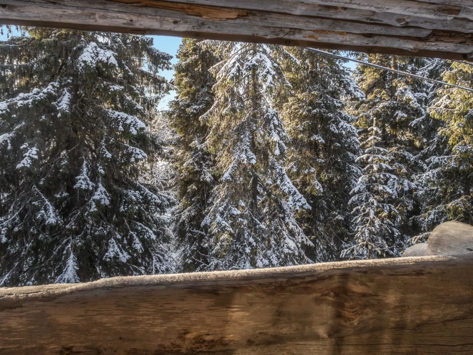 Nousujohde c1-Dedans