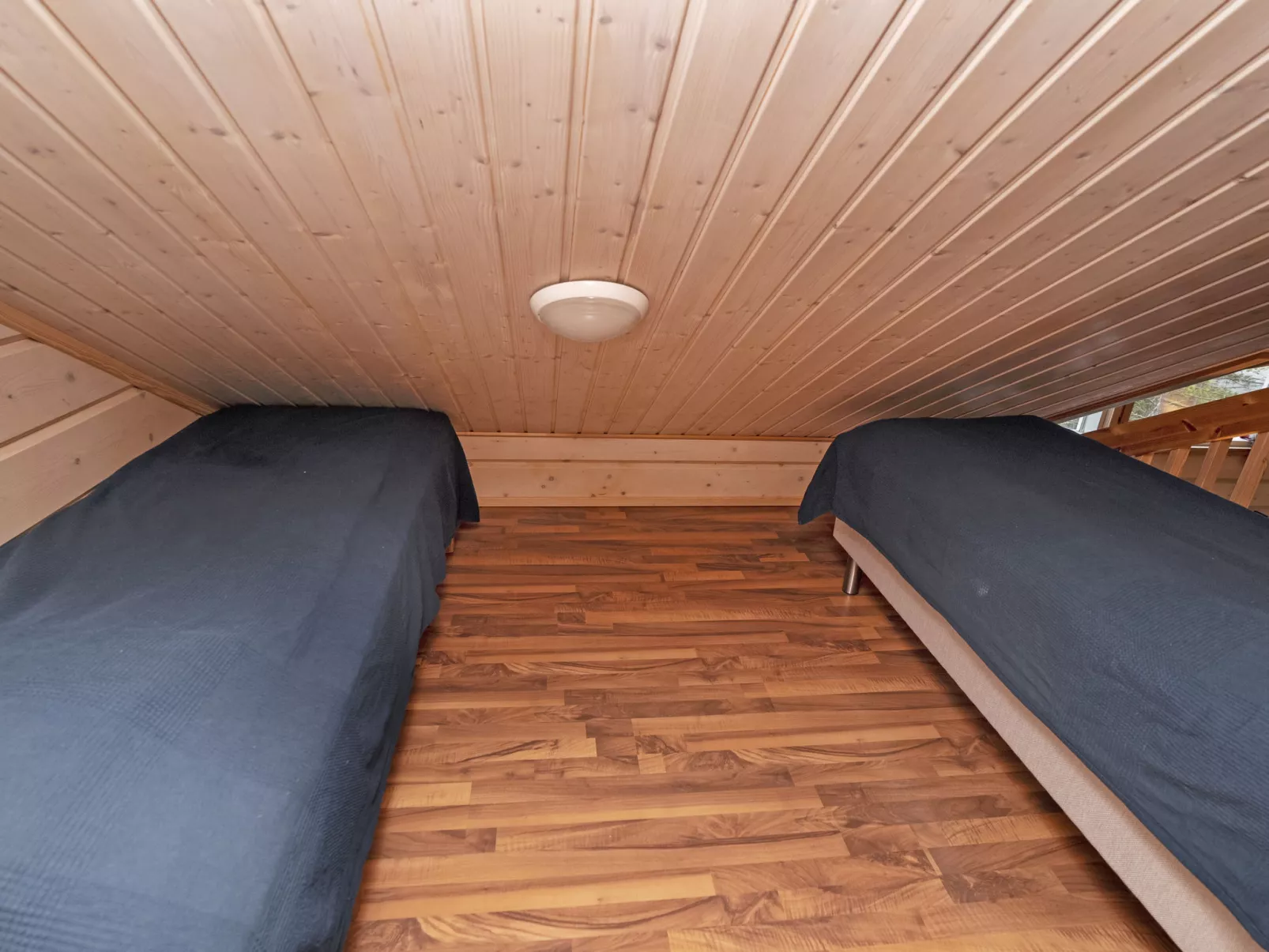 Vuosselin kataja 5-Dedans