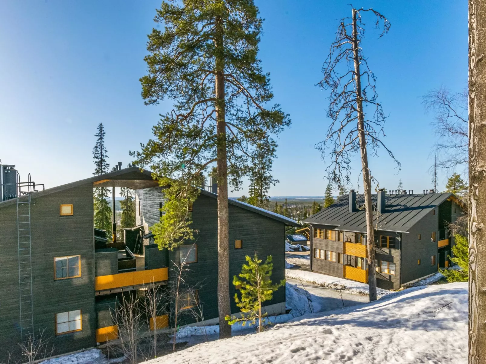 Karhunvartijan kota b1-Dedans