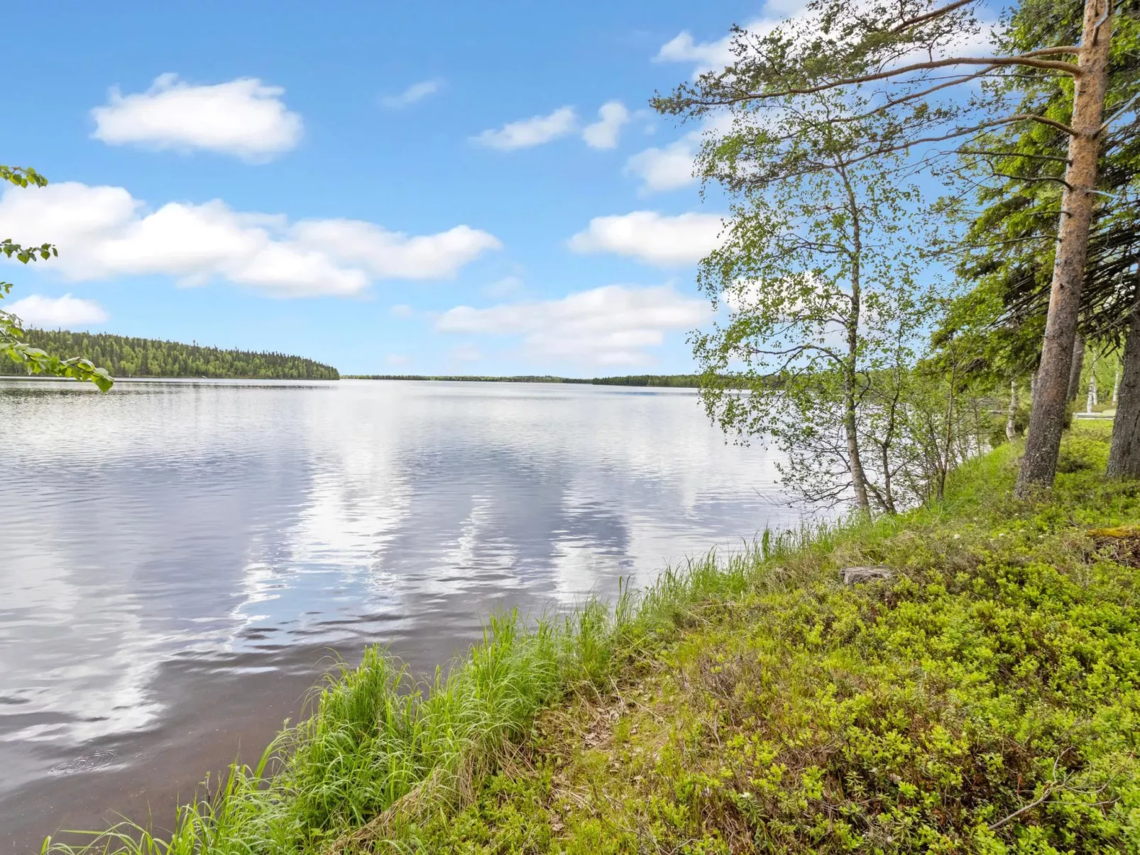 Kuontijärvi b-Dedans