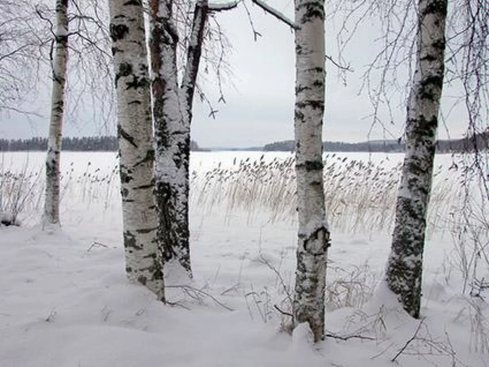 Kopinkallio 3-Drinnen