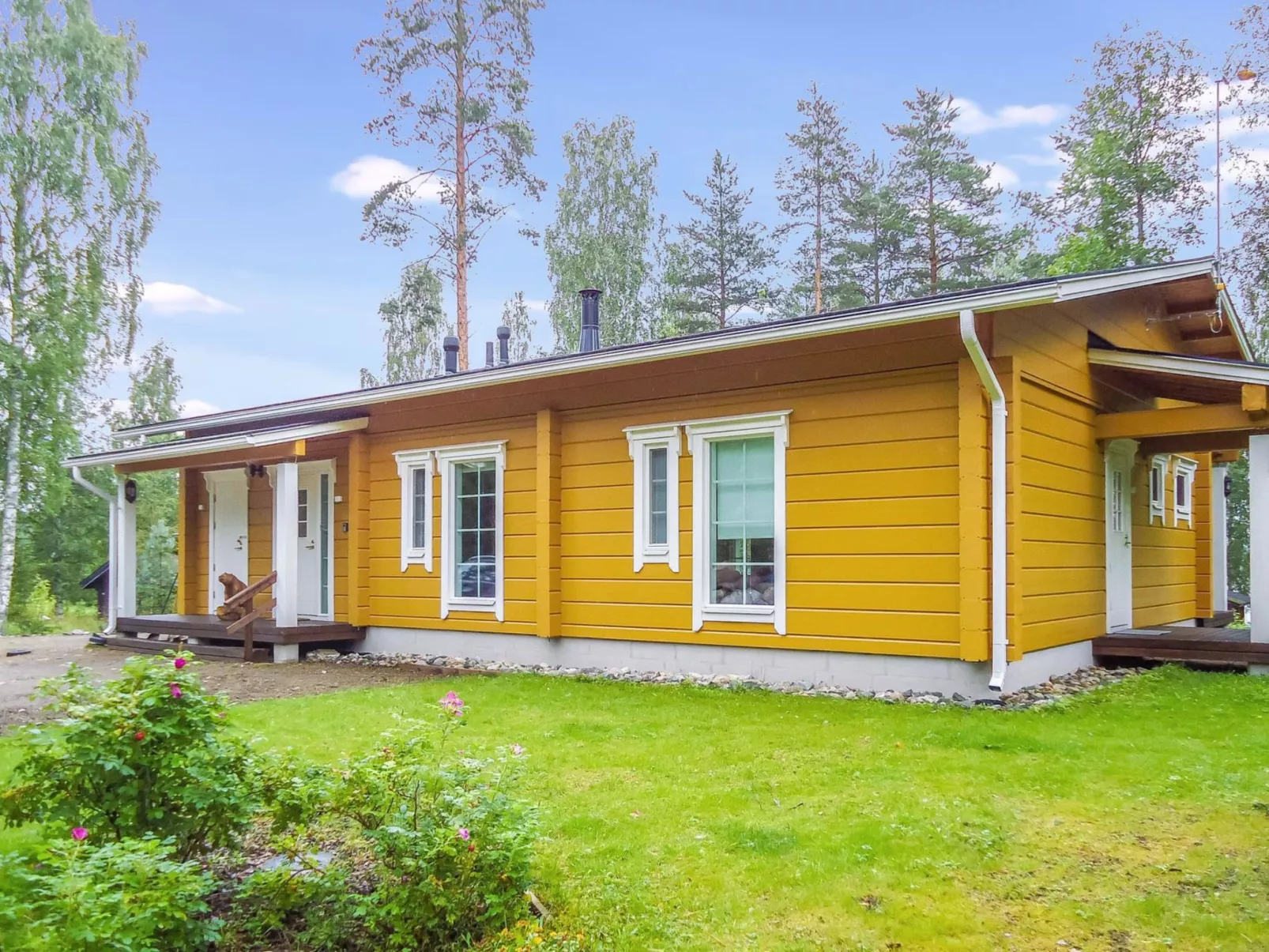 Kolin mesikämmen-Dedans