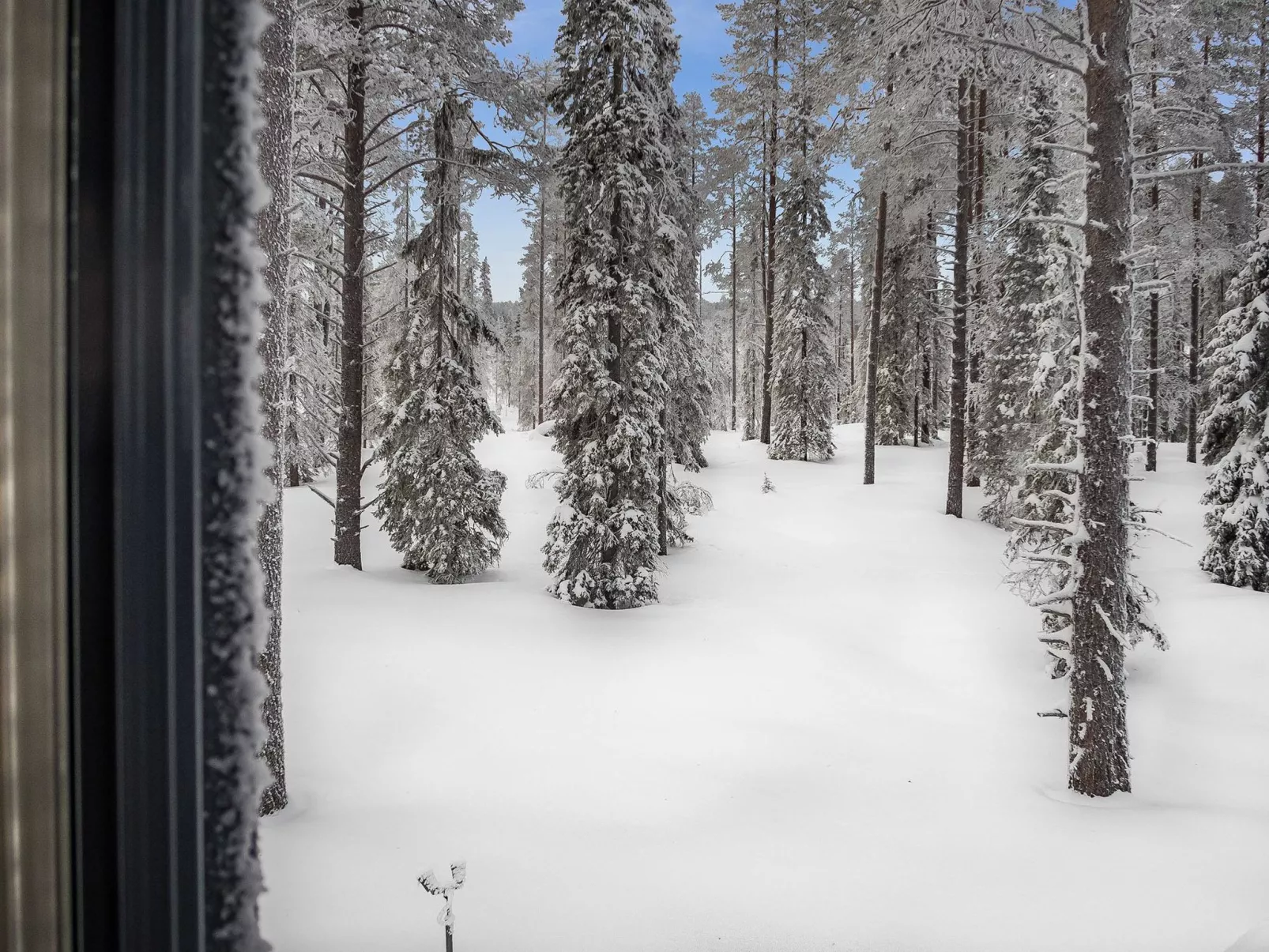 Kesärinne 14-Drinnen