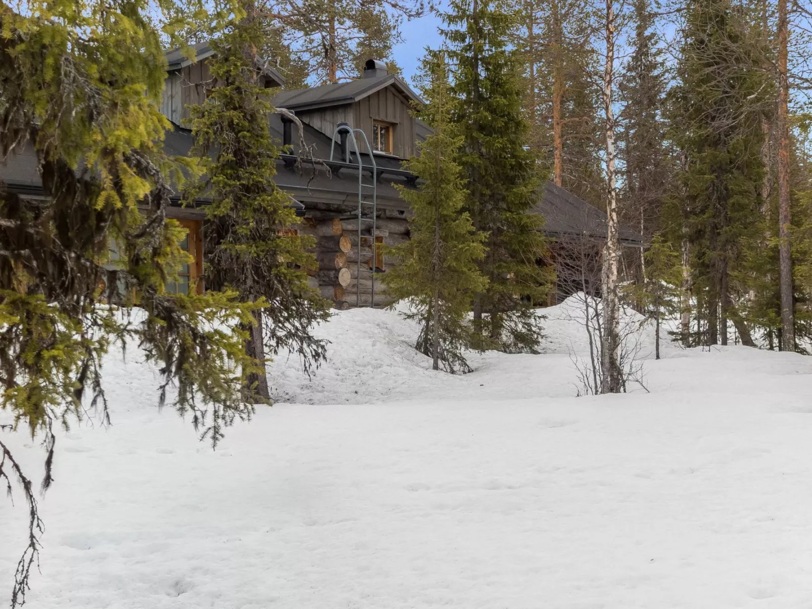 Lumipolku a 1-Inside