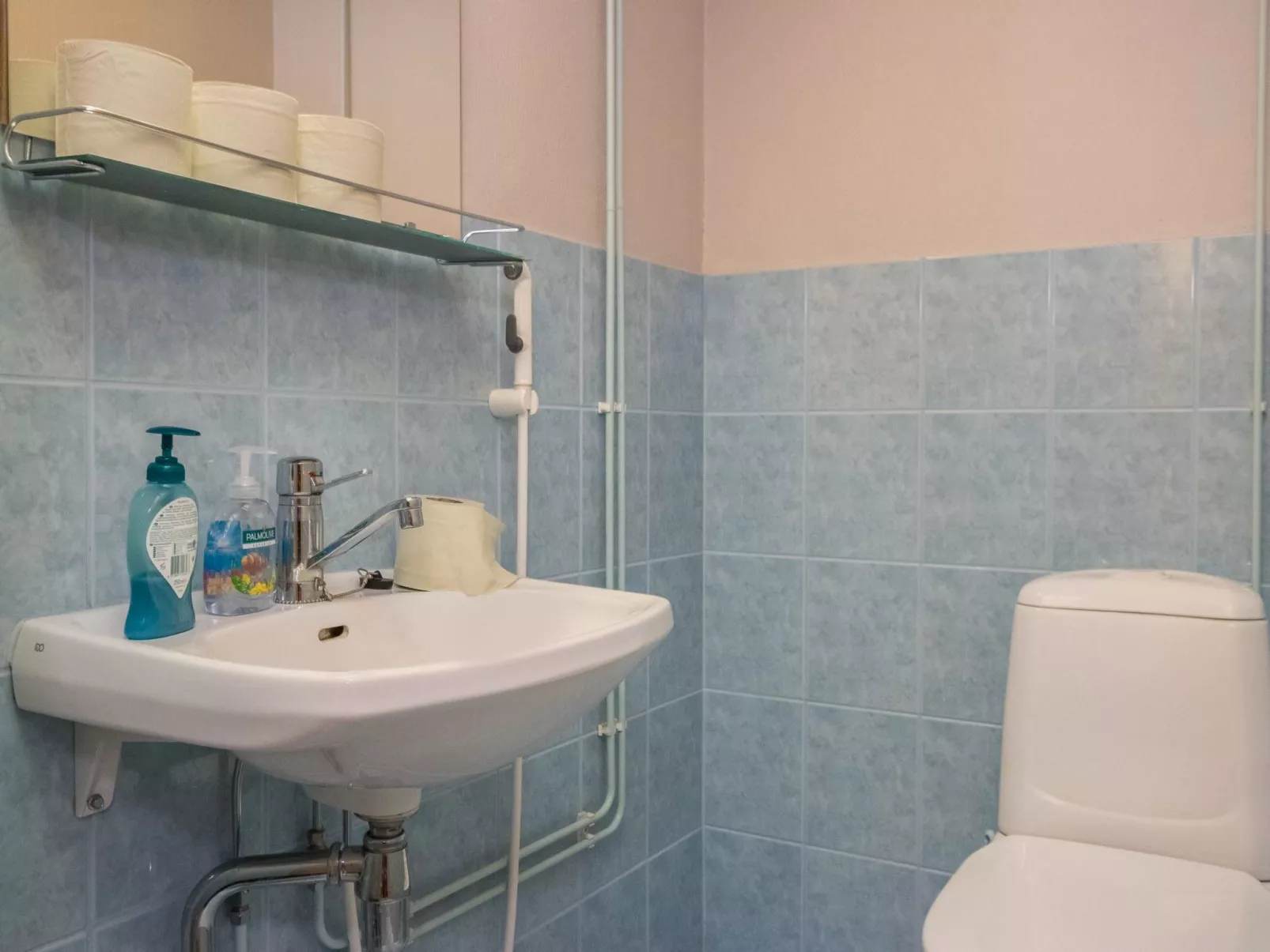 Karhunpesä b-Dedans