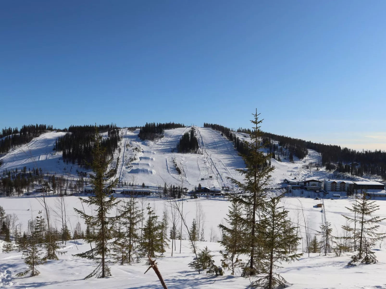 Pieni kiiruna-Inside