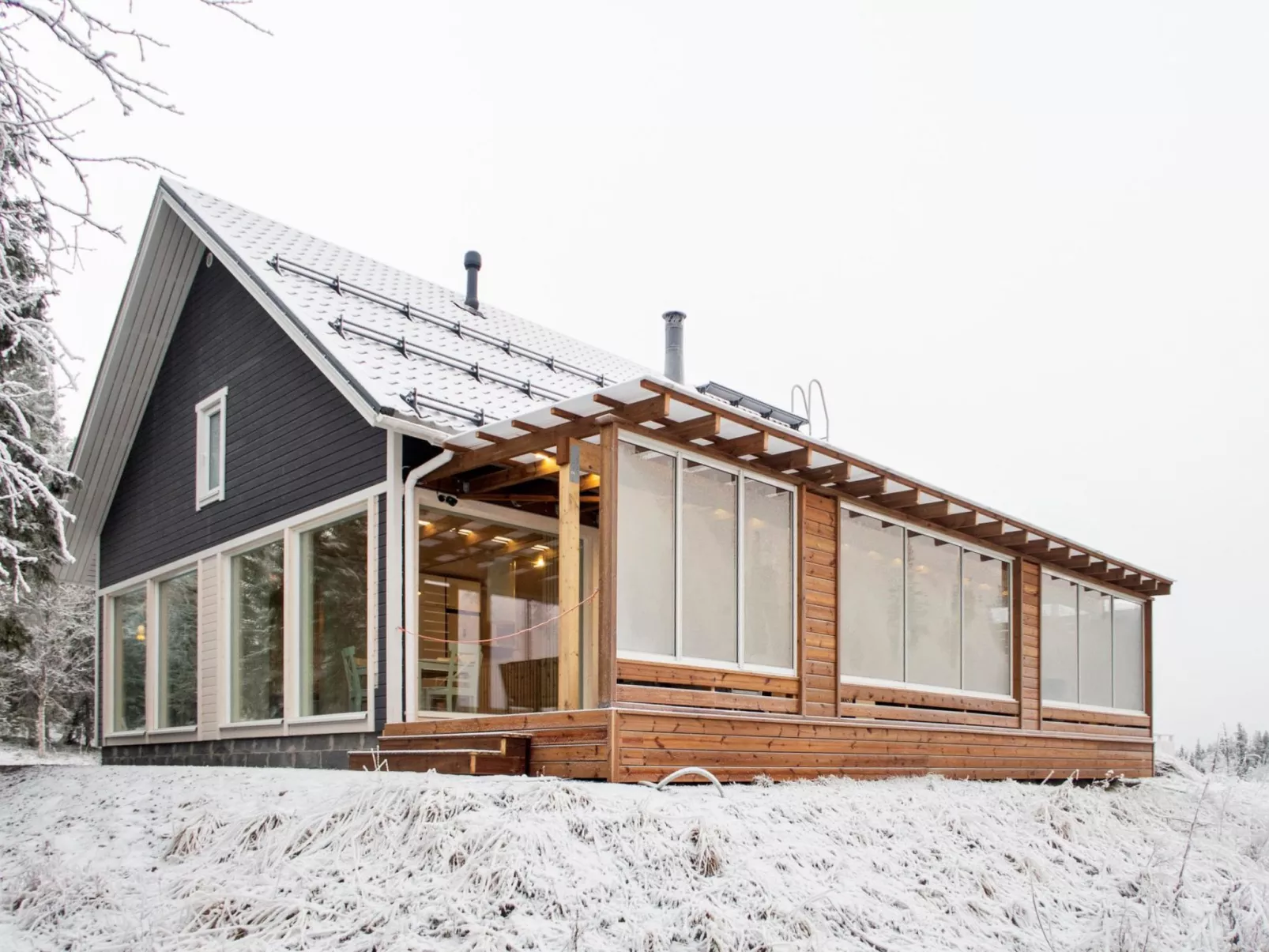 Iso-karpalo b-Dedans