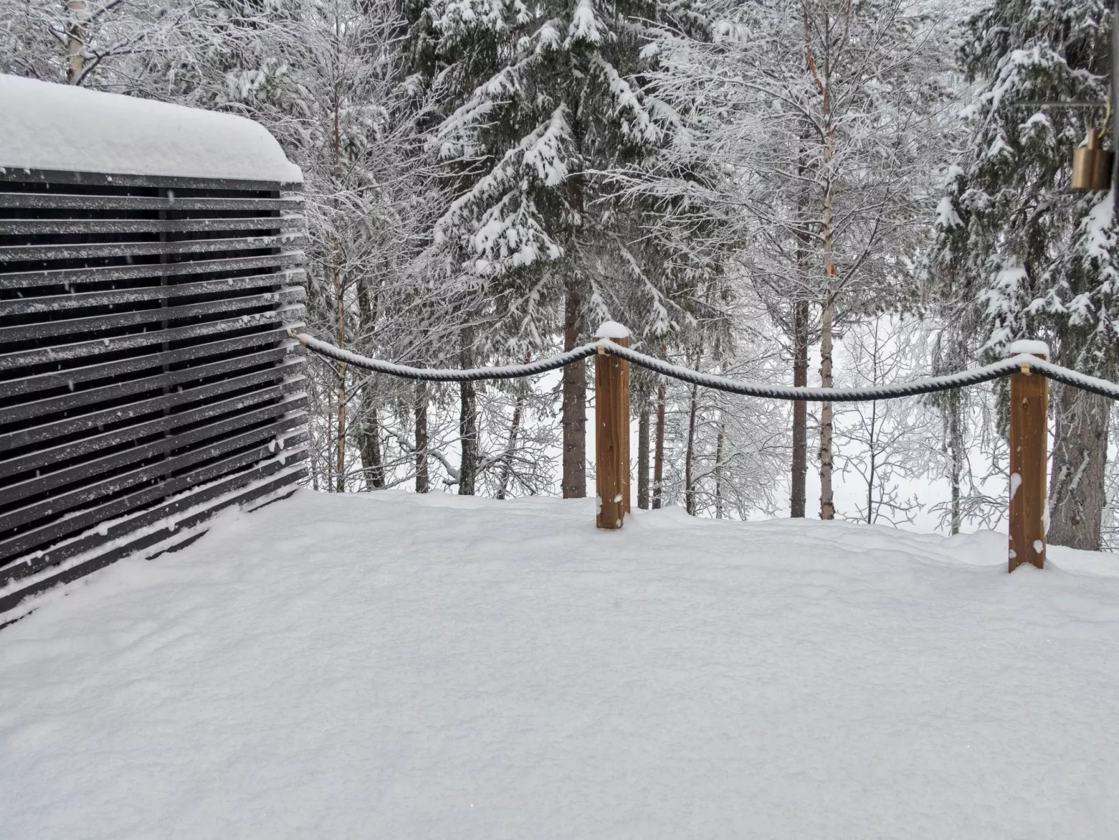 Salmikangas f2-Dedans