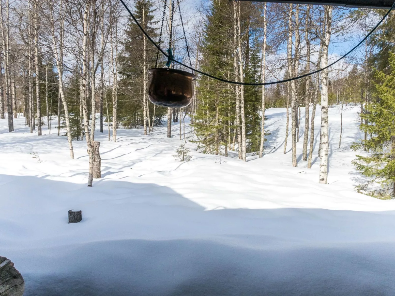 Rukanjurmu 7-Drinnen