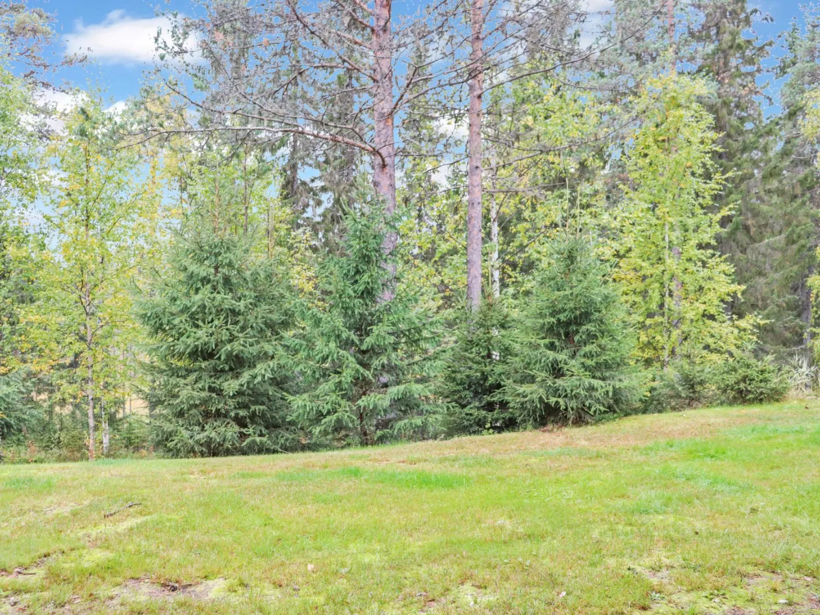 Paljakan pirtit a4-Drinnen