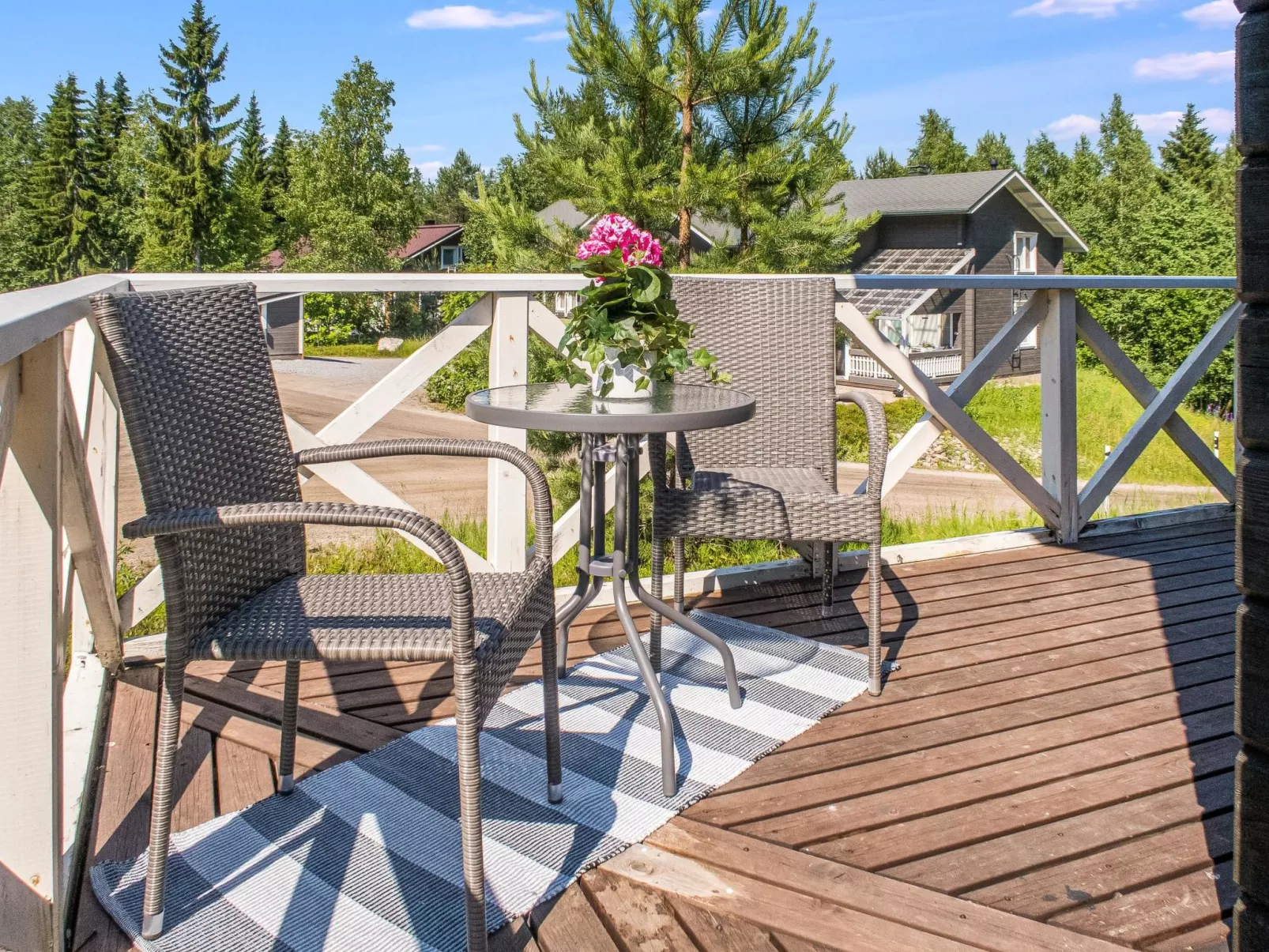 Vuokatin wassu-Dedans