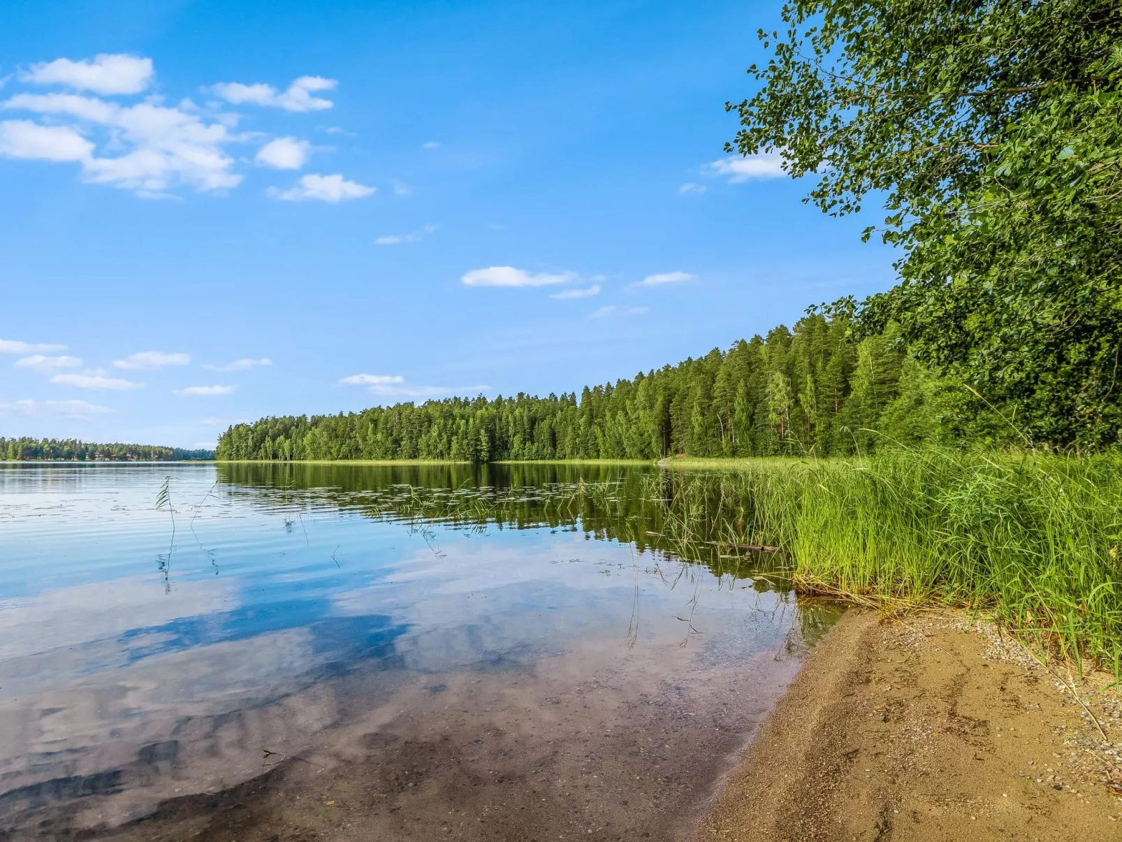 Mäntyranta 4-Dedans