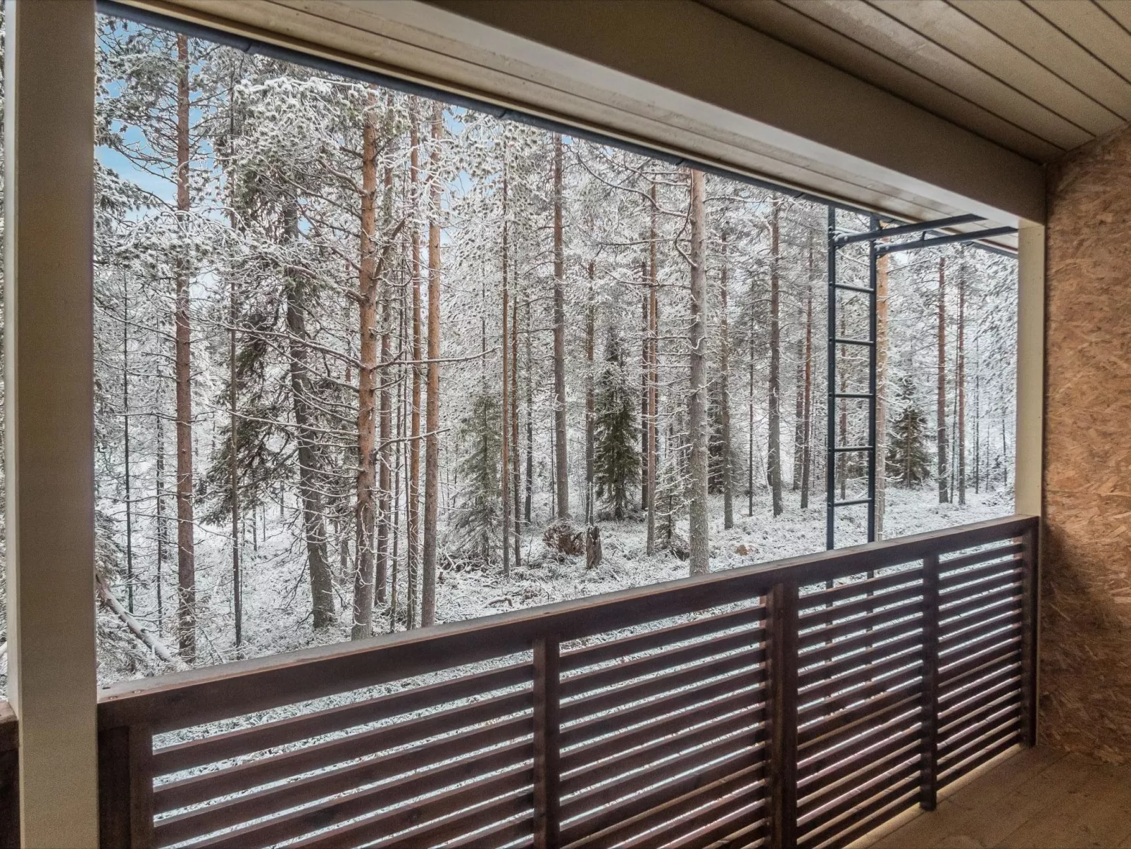 Saukonpesä a-Drinnen