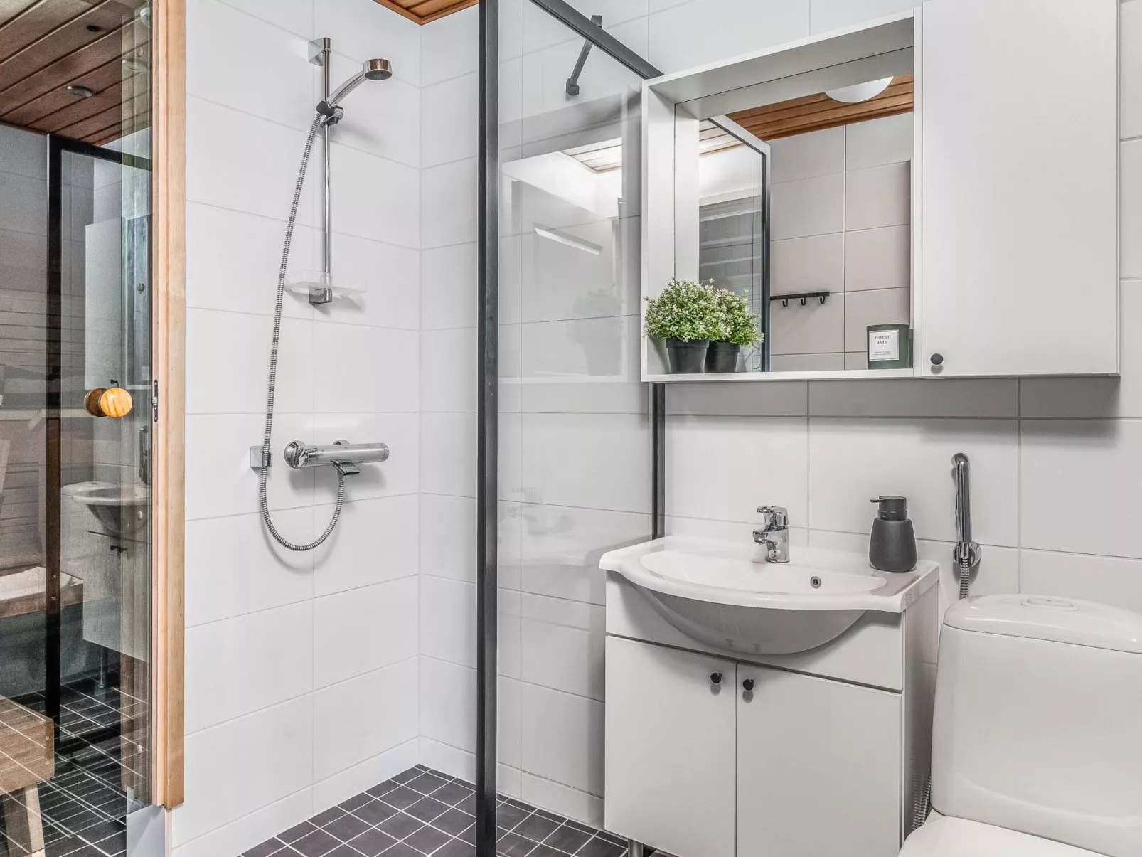 Tunturin lumo-Dedans