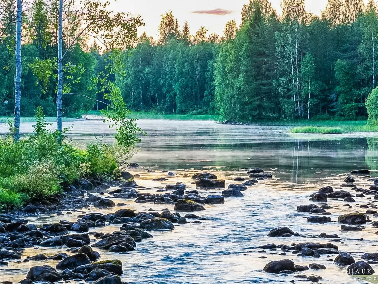 Koskenniska, vaikon loma 1-Dedans