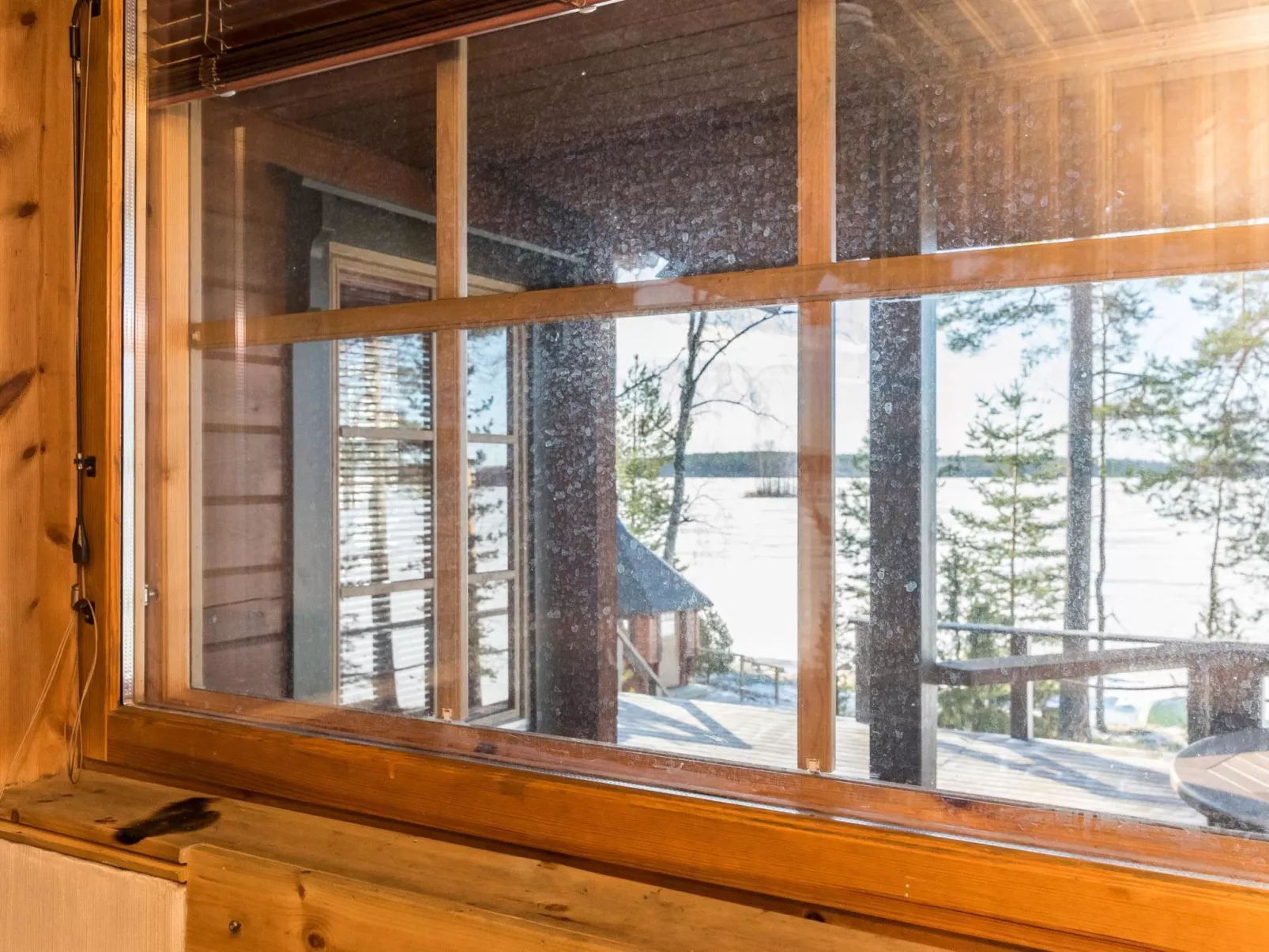 Puolen hehtaarin metsä-Inside