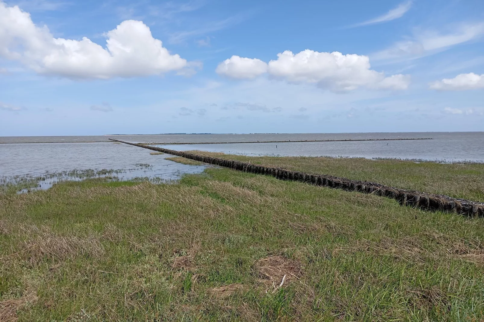 Ferienhaus Mühlenblick 07-Areas within 5km in summer