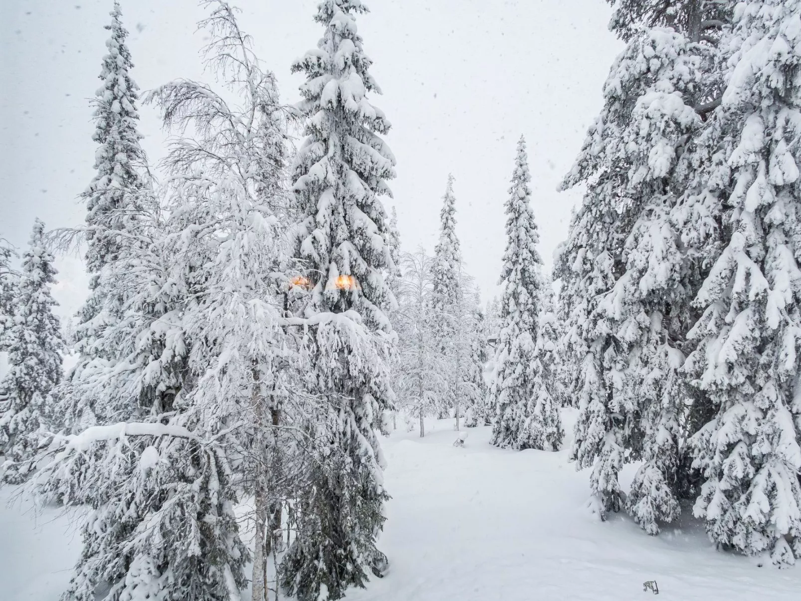 Rukan lepolinna b-Dedans