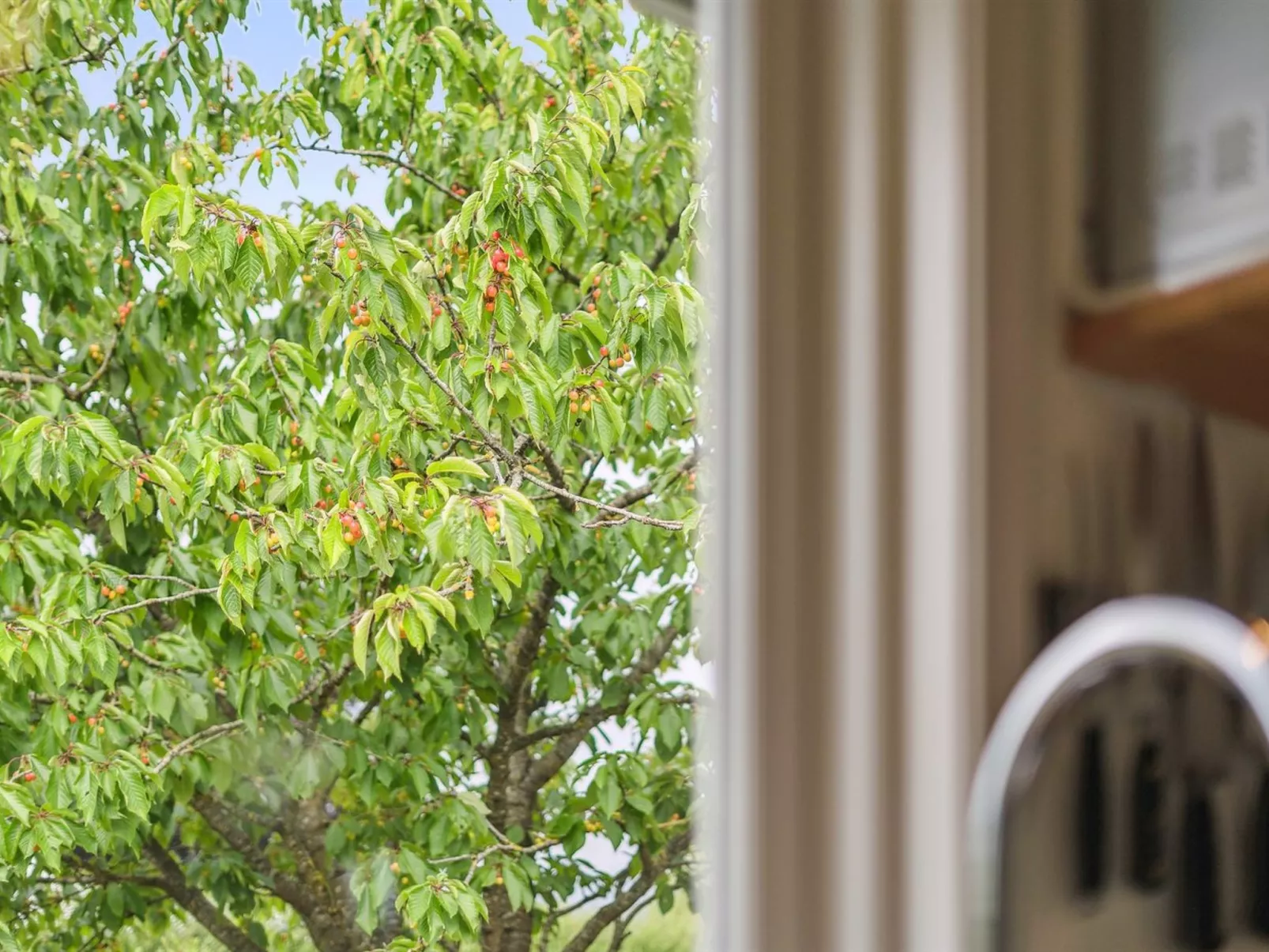 "Esme" - 225m to the fjord-Outside