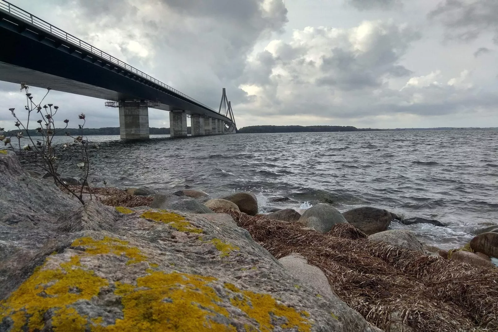 6 Personen Ferienhaus in Bogø By-Wasserblick