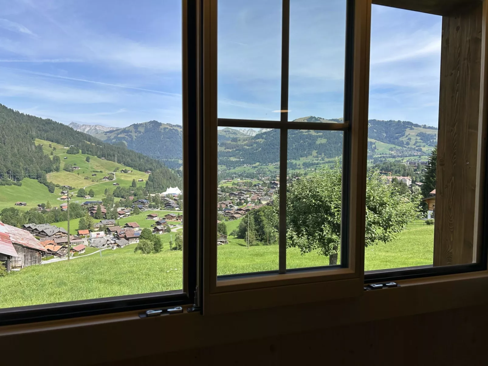 Alpenchalet Haldeli-Drinnen