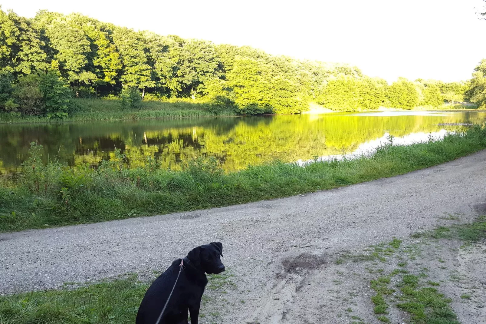 4 etoiles maison de vacances a Brønderslev-Vue sur l'eau