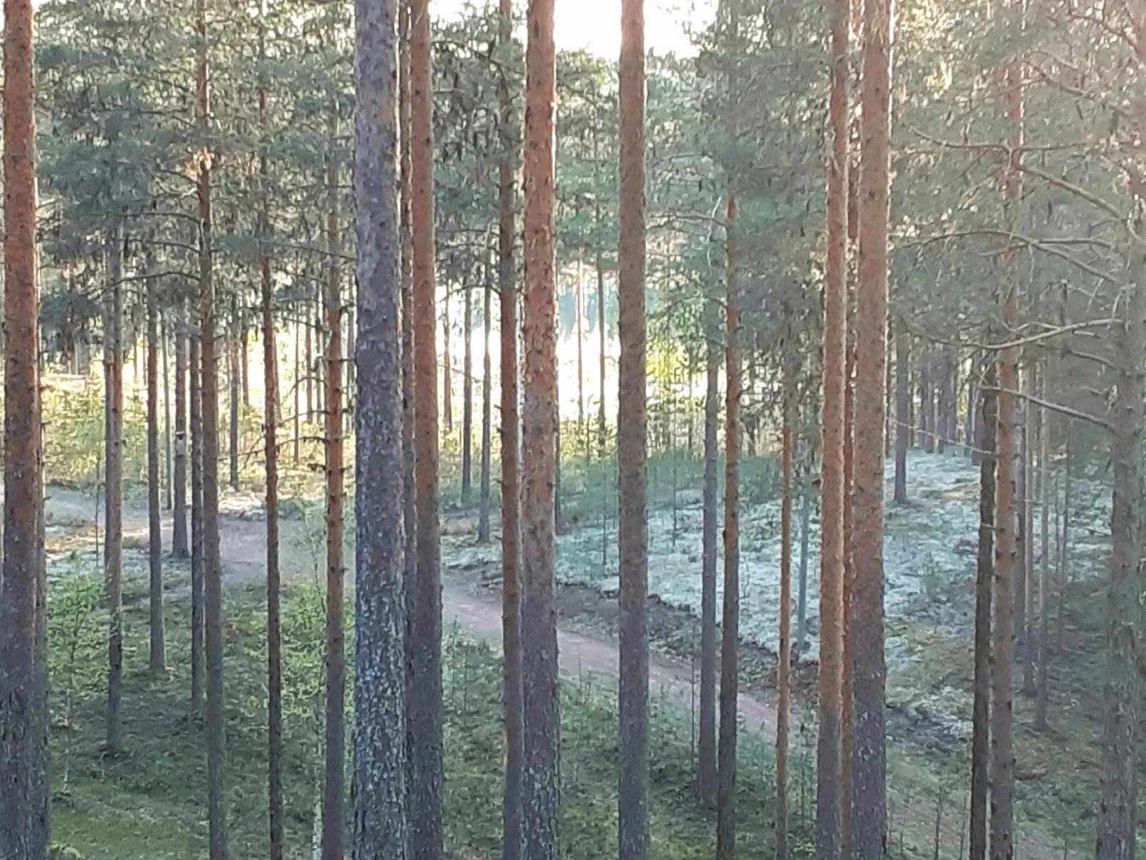 Rokua vaulutupa-Dedans