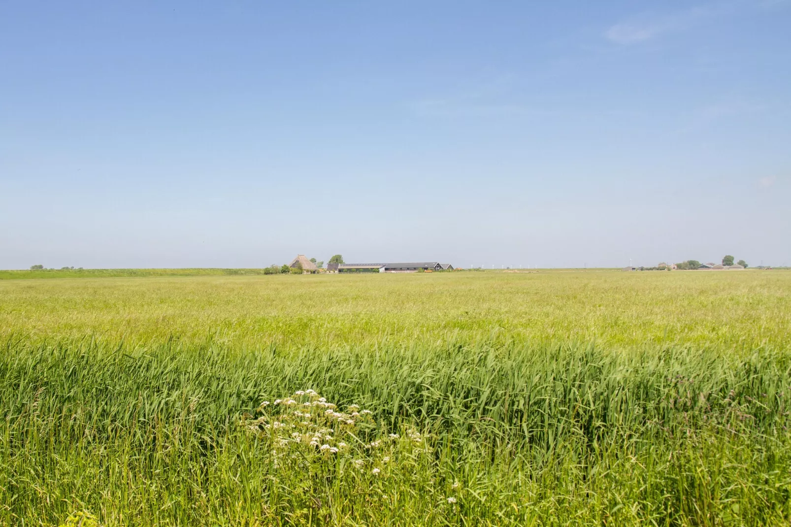Appartement Nostalgisch-Areas within 1km in summer