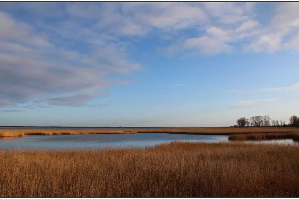 166154-Nicht zugeordnet