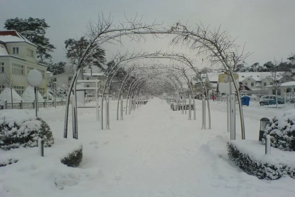 333516-Nicht zugeordnet