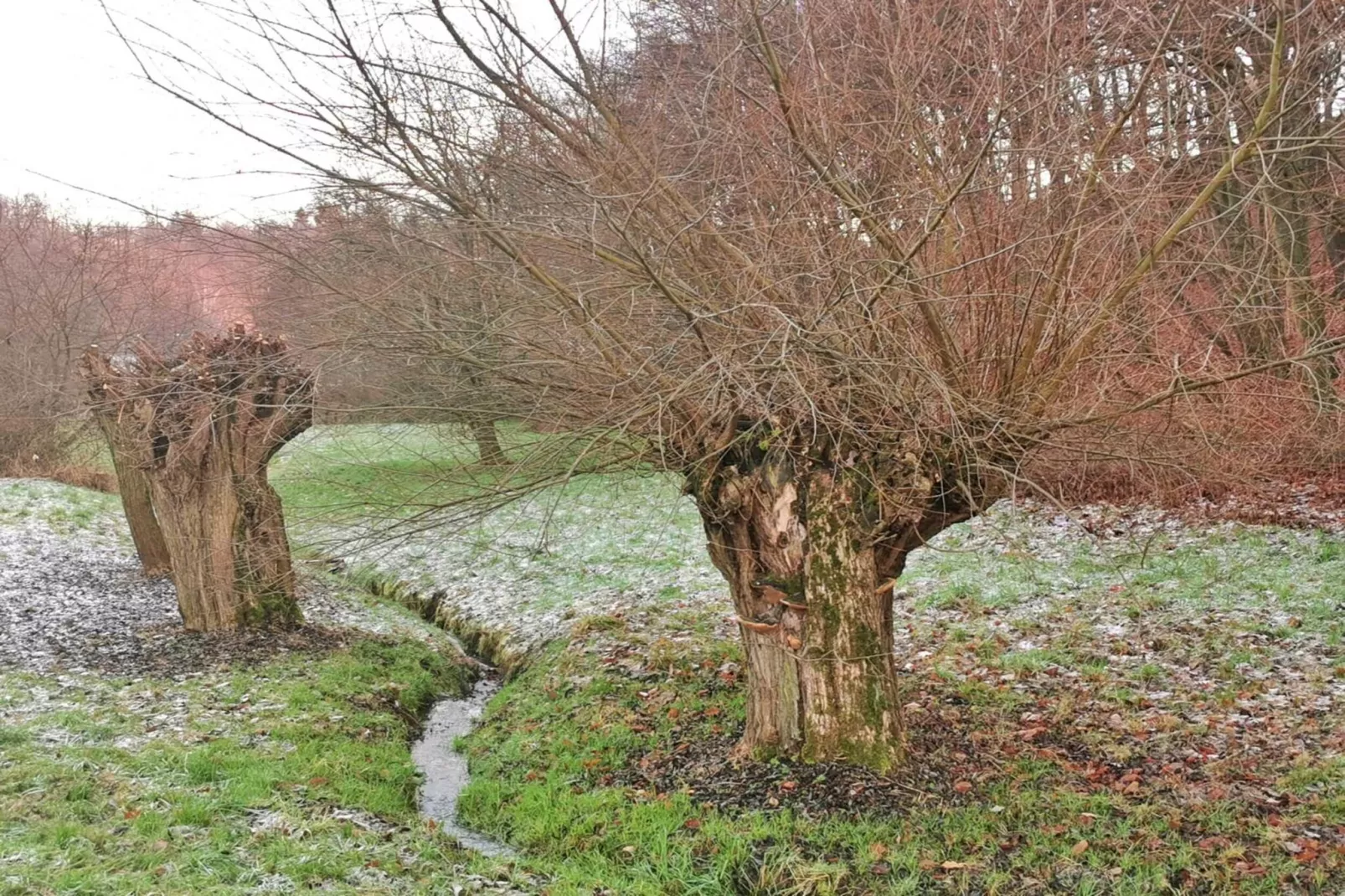 Ferienwohnung Freital - Dresden-Gebiete Sommer 5 km