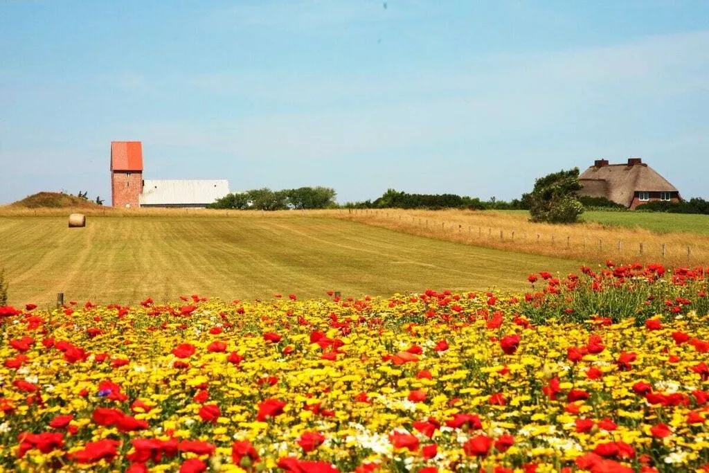 284171-Nicht zugeordnet