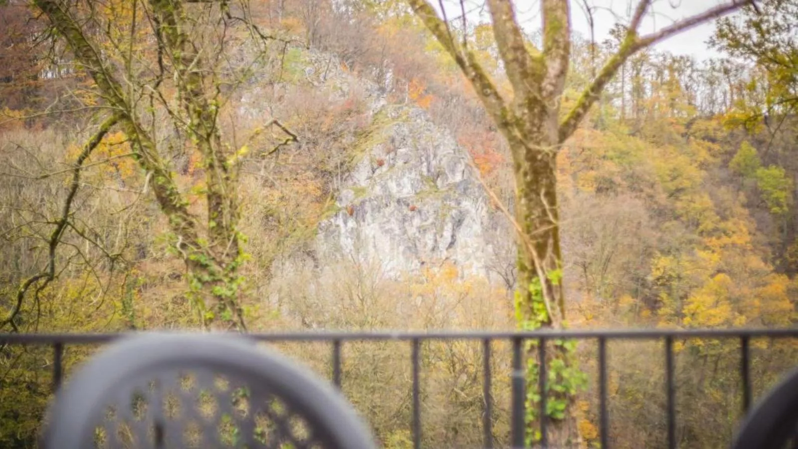 Vue sur Ourthe-Aussicht Sommer