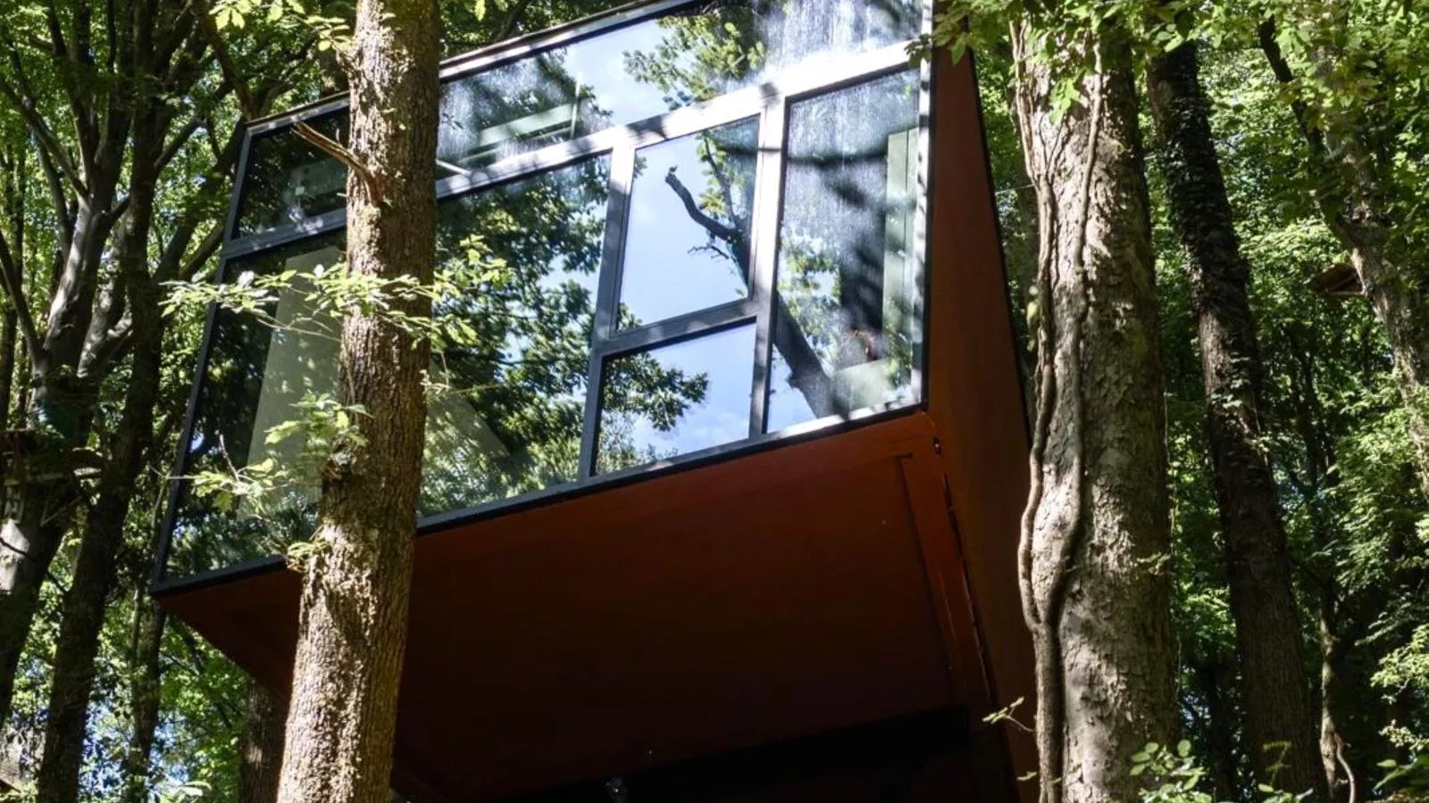 Cabane dans les arbres-Exterior in summer