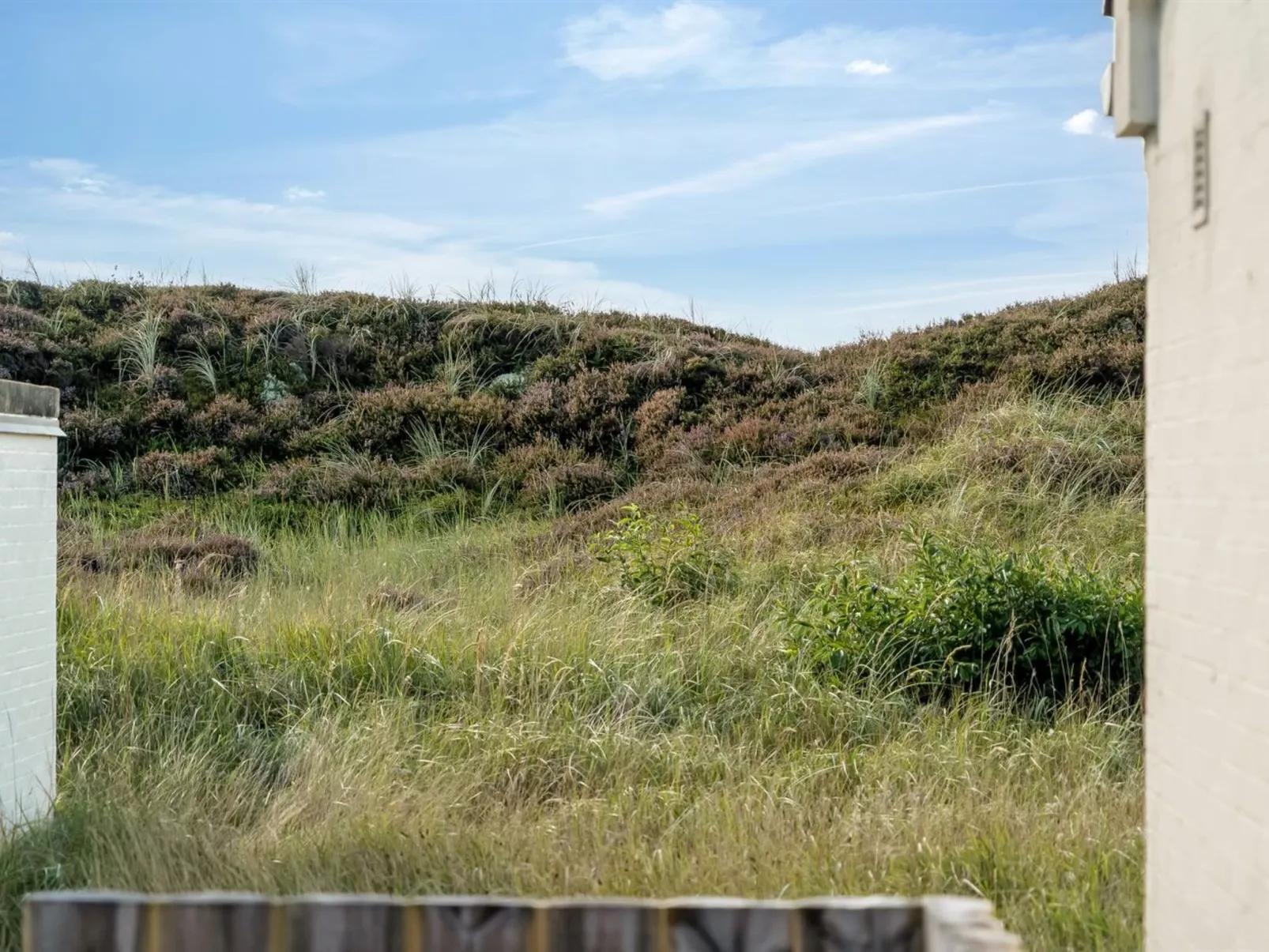 "Enwald" - 700m from the sea-Draußen