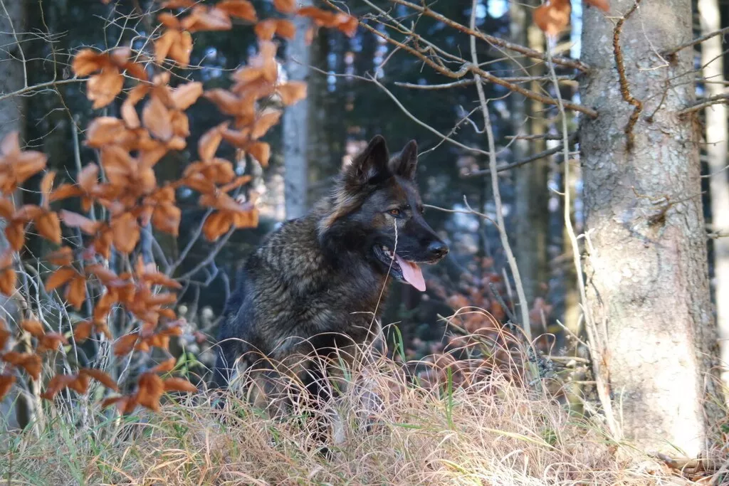 378160-Nicht zugeordnet