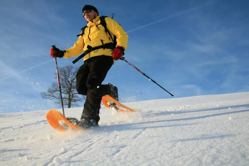 479944-Nicht zugeordnet