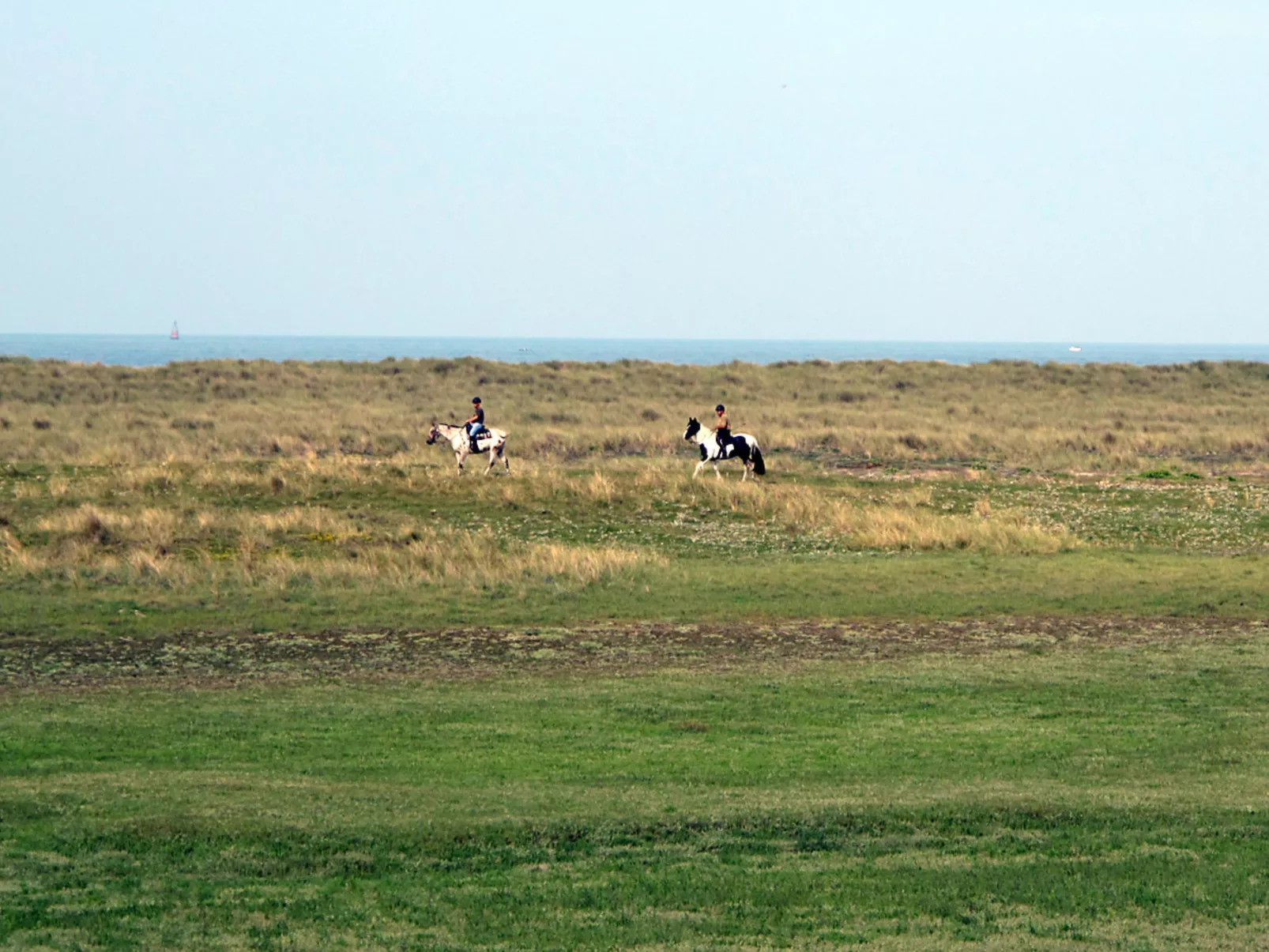 Maison Edgar Luce-Environnement