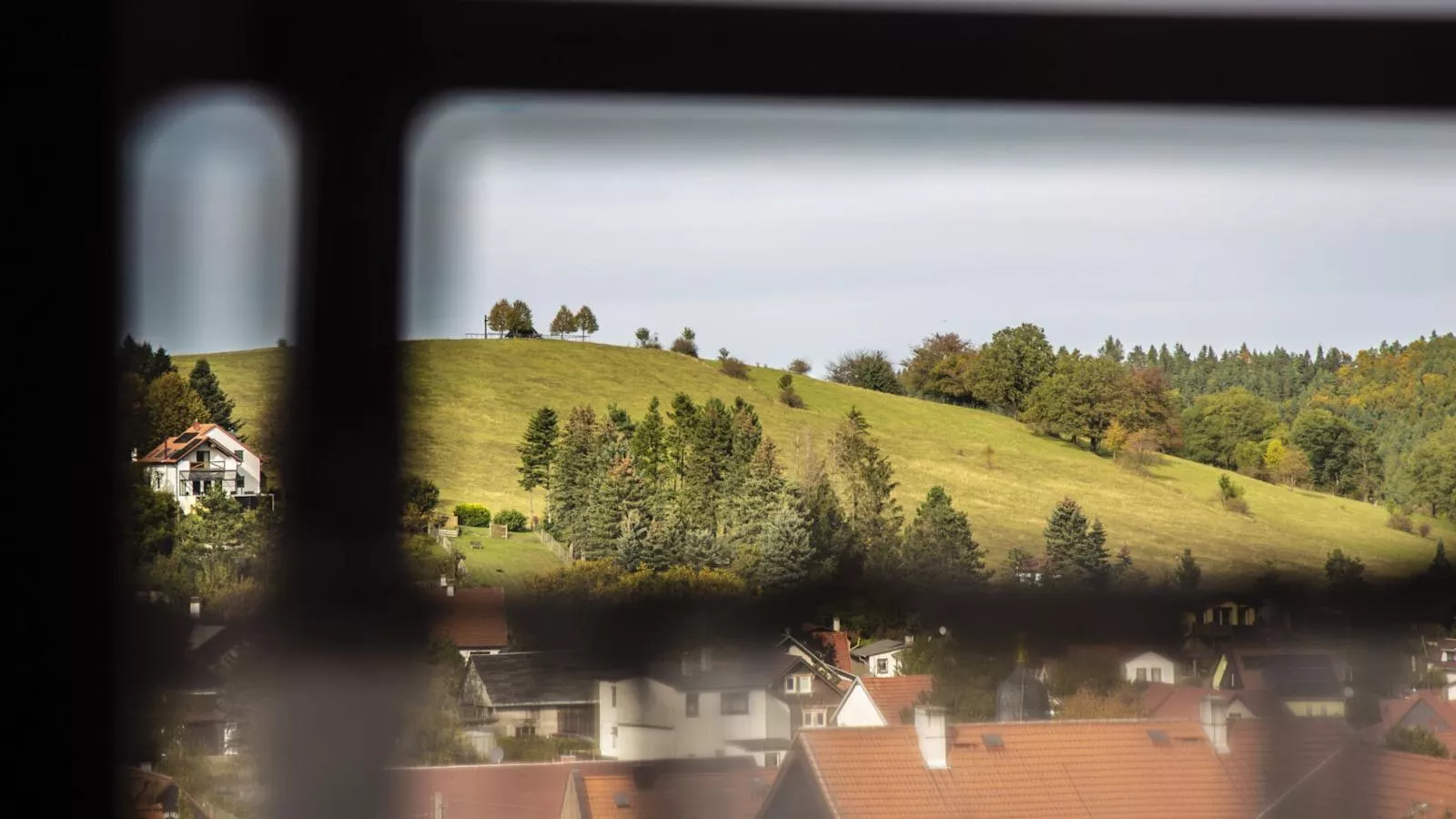 Naturstammhaus-Aussicht Sommer