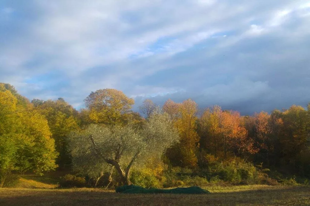 29689-Nicht zugeordnet