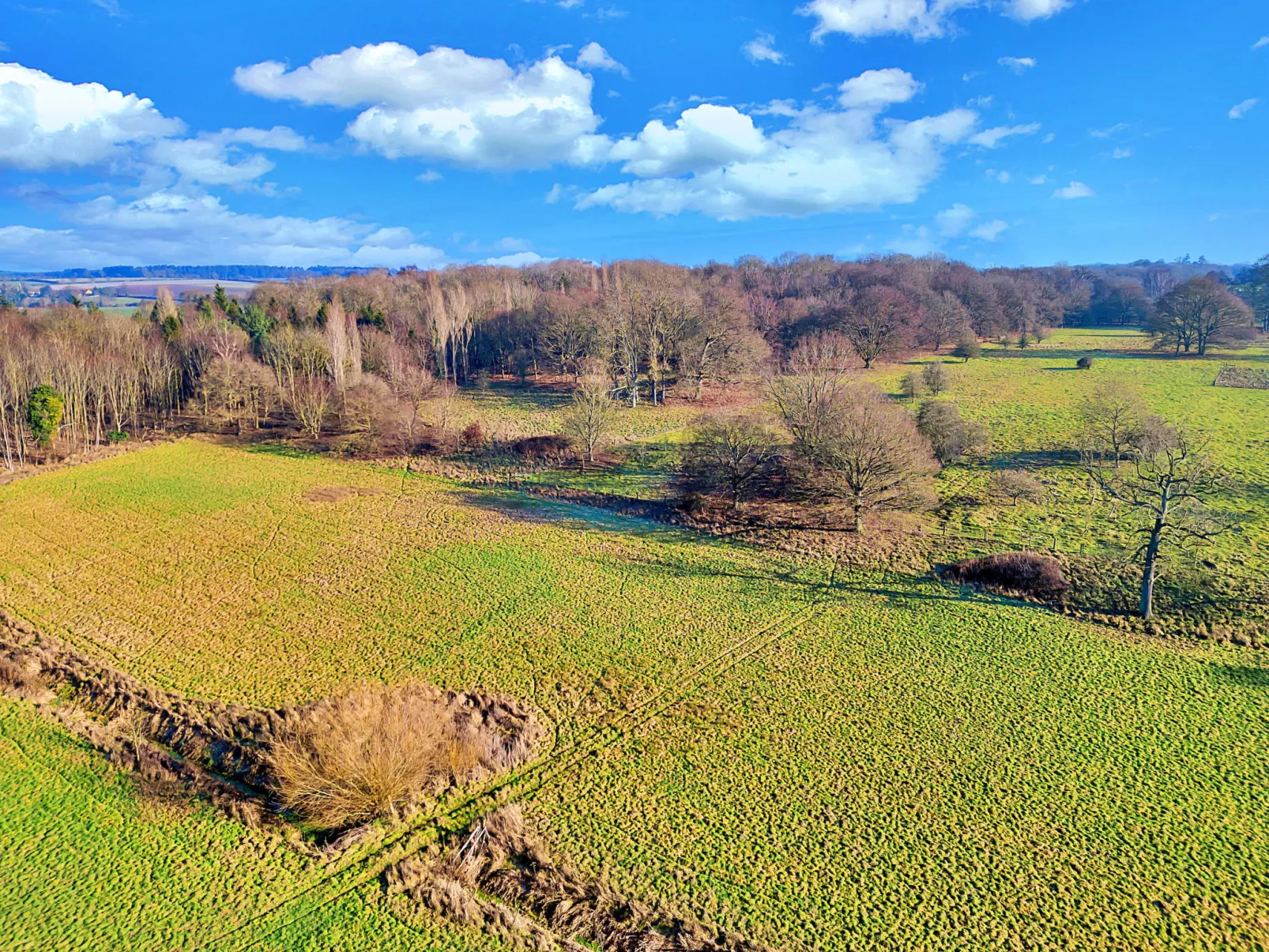 Pod Hollow - Outside