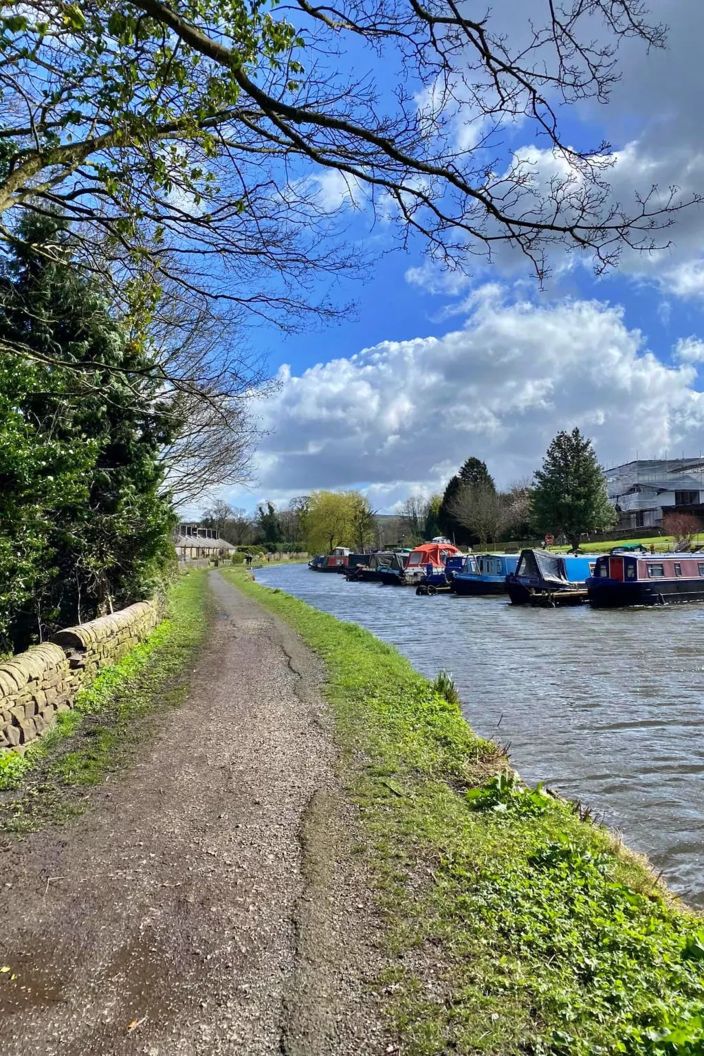 Suzy's Cottage-Inside