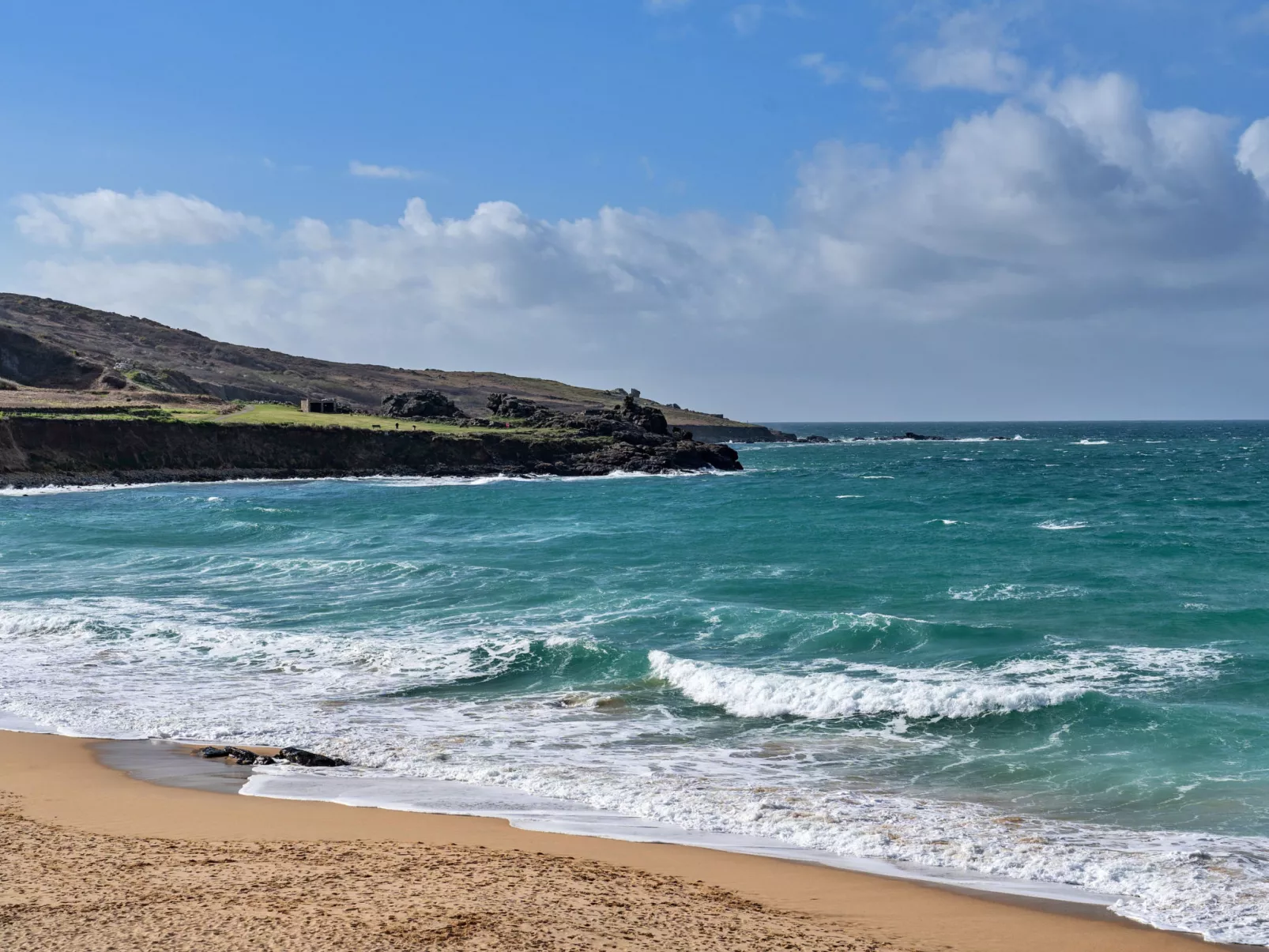 No. 5 Harlequin-Draußen