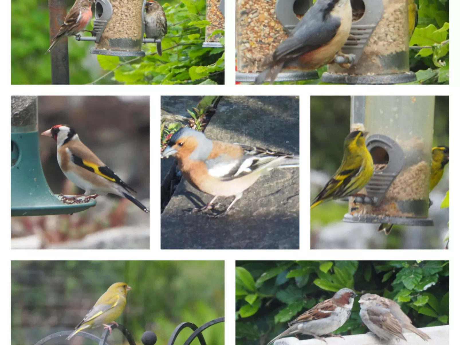 The Duck House-Outside