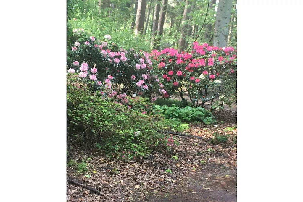 109045-Nicht zugeordnet