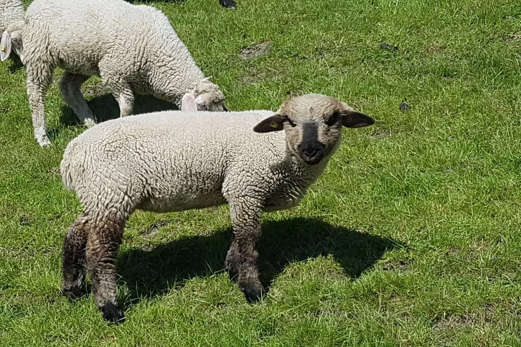 202588-Nicht zugeordnet