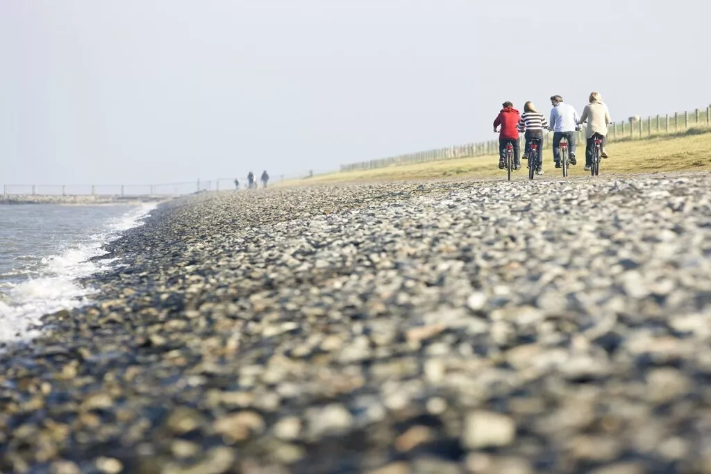 261720-Nicht zugeordnet